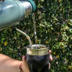 A hand pours hot water into a traditional mate cup against a leafy background.